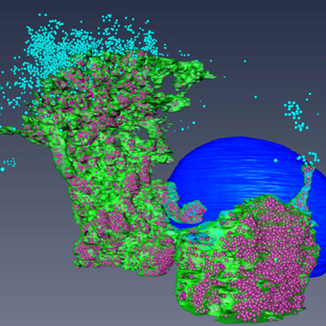 Marsh lab research image