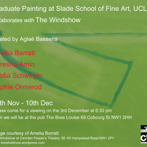 Graduate Painting collaborates with The Windshow 2014