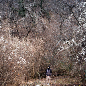 Paolo in his chestnut grove, Valsusa, Italy